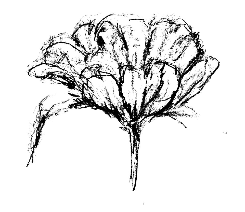 Weidebloem