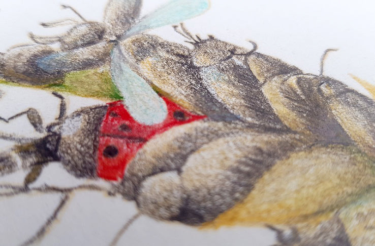 Ladybug and Bees