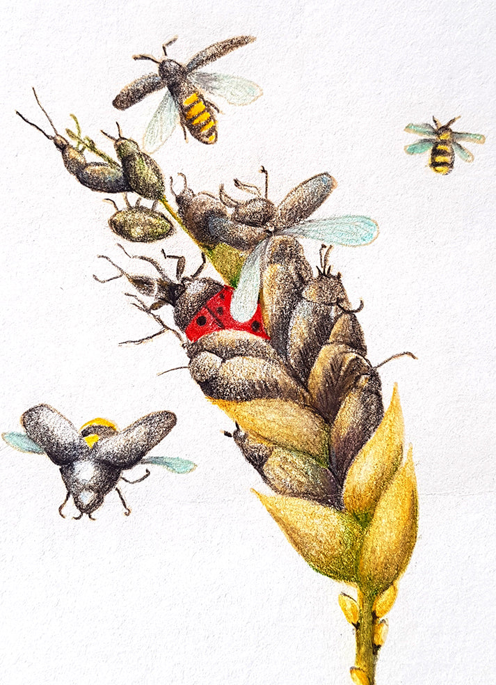 Ladybug and Bees