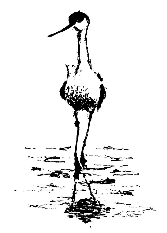Strandvogel