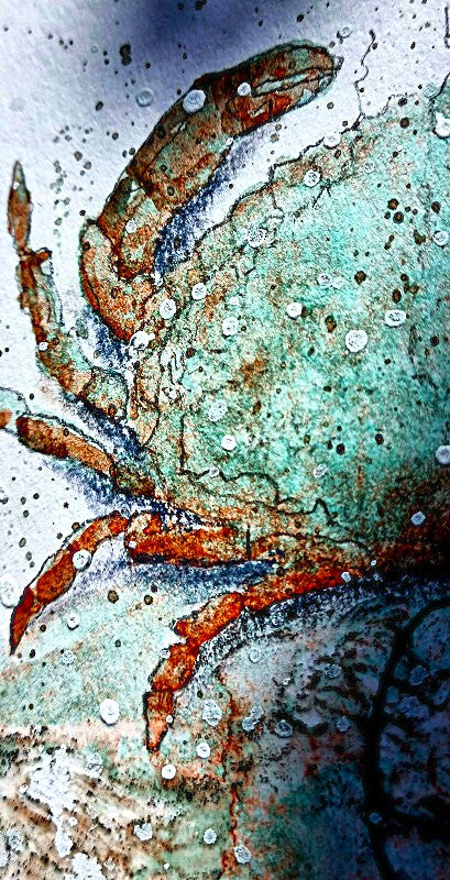 The sound of the Ocean... / Krab - Stempelset groot