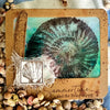 25012 - Ancient - PRE ORDER - Stempelset slimline formaat - NIEUW
