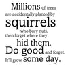 Millions of trees... squirrels - 21041