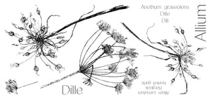 24018 - Dille / Allium -  Stempelset slimline formaat