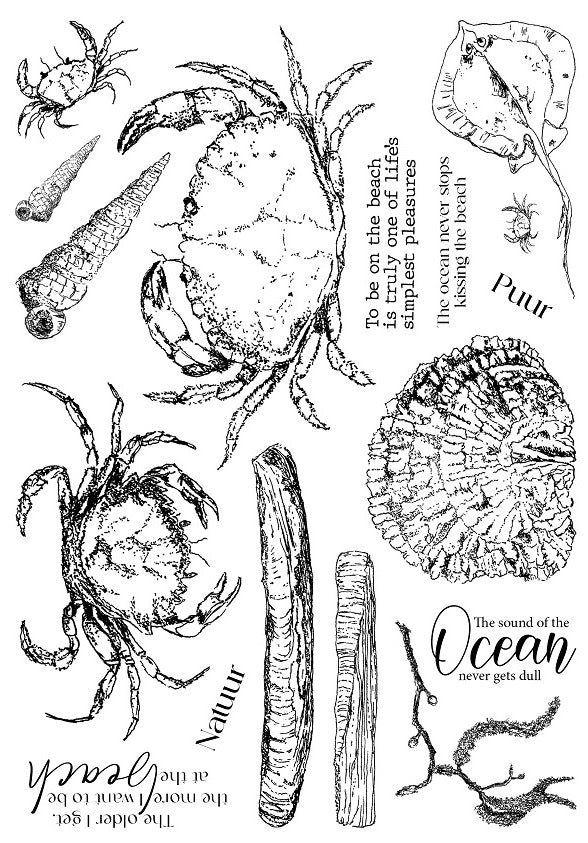 The sound of the Ocean... / Krab - Stempelset groot