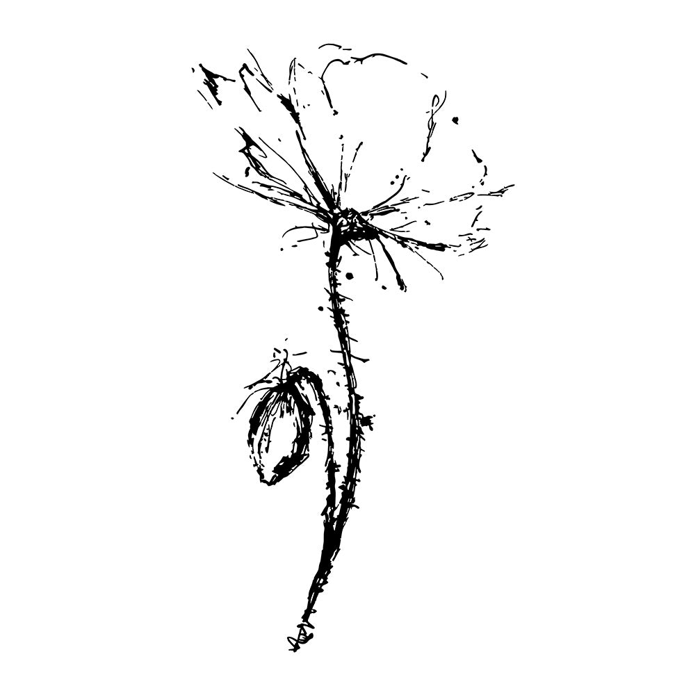 Stempel Klaproos met knop