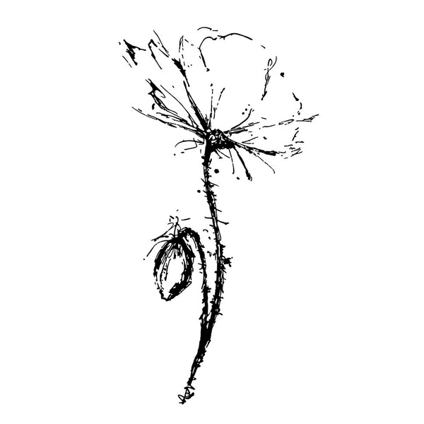 Stempel Klaproos met knop