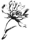 Wilde bloem