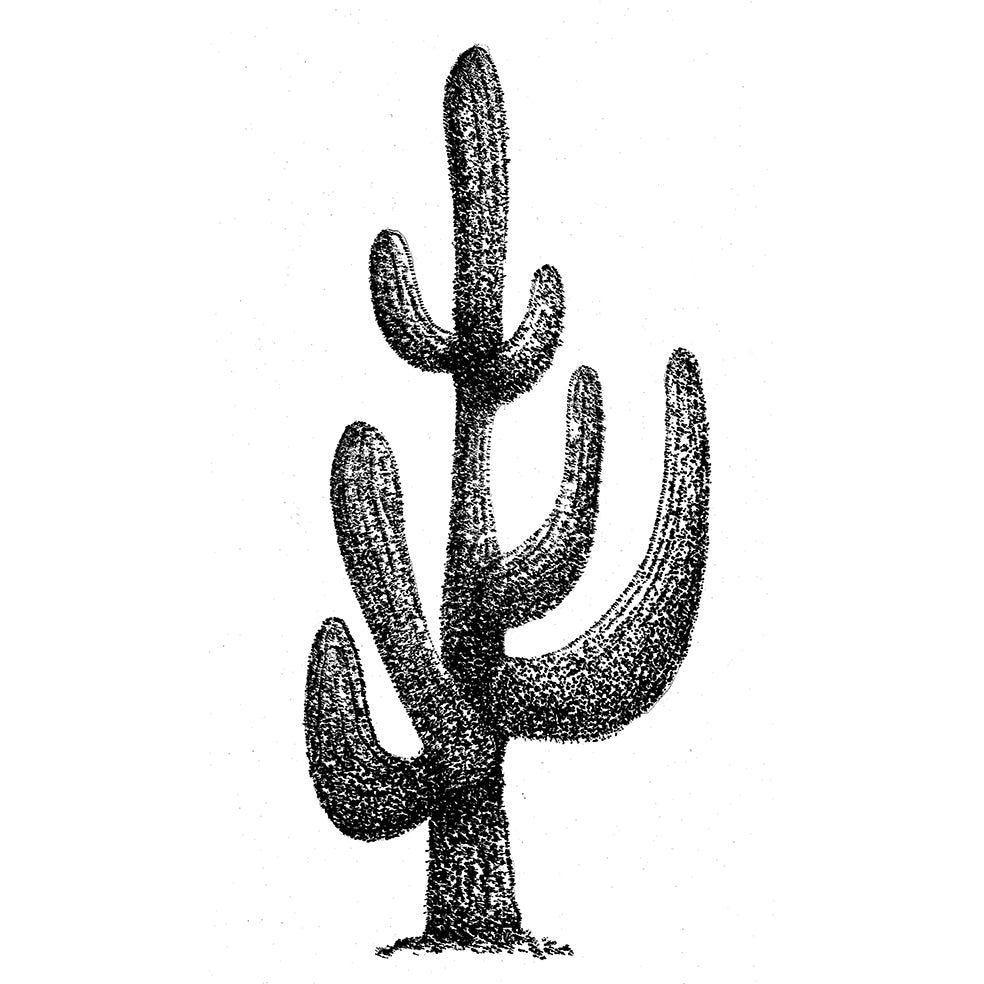NIEUW •  Stempel Cactus