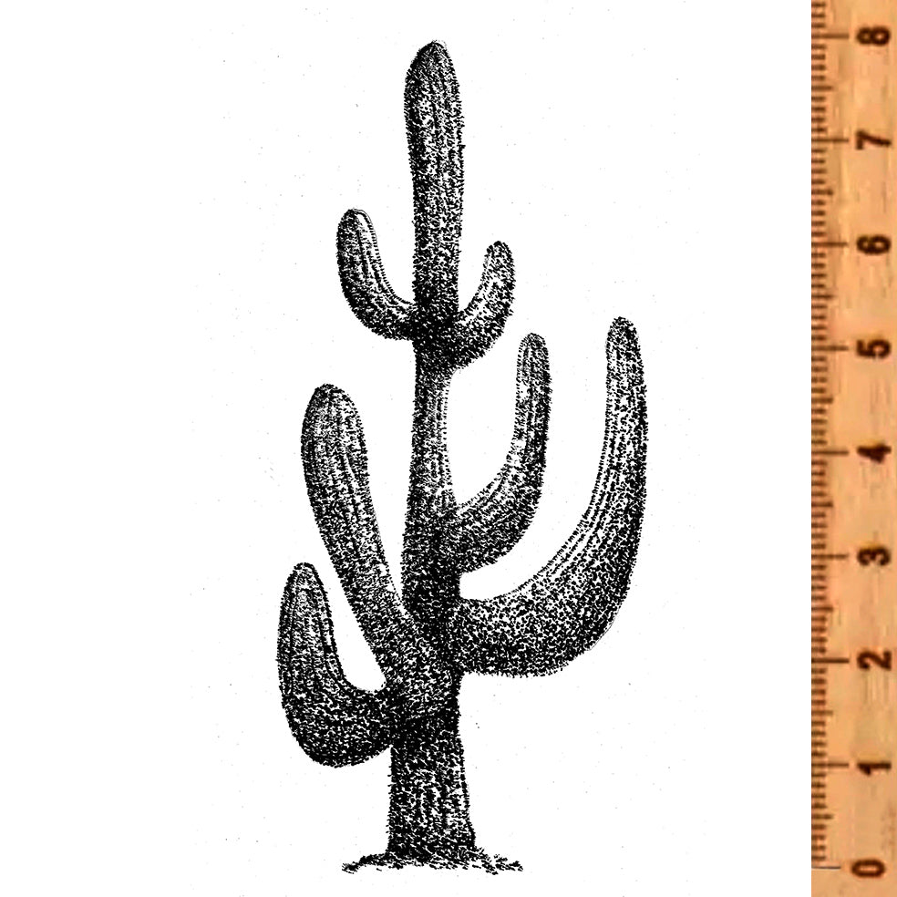 NIEUW •  Stempel Cactus