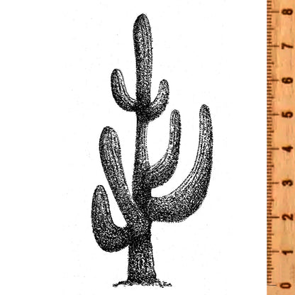 NIEUW •  Stempel Cactus