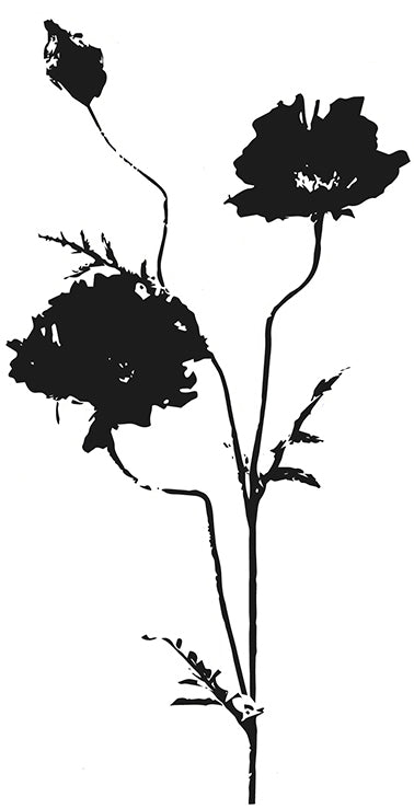 NIEUW • Veldbloem