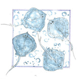 25014 - The sound of the Ocean... / Krab - Stempelset A5