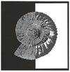 25012 - Ancient - PRE ORDER - Stempelset slimline formaat - NIEUW