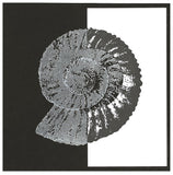 25012 - Ancient - PRE ORDER - Stempelset slimline formaat - NIEUW