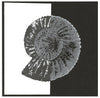25012 - Ancient - PRE ORDER - Stempelset slimline formaat - NIEUW