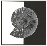 25012 - Ancient - PRE ORDER - Stempelset slimline formaat - NIEUW