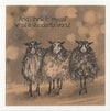 24010 - Schaapjes / sheep -  Stempelset A6 formaat