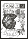 25013 - Inchies i.c.m. crackle - Stempelset A5 - NIEUW