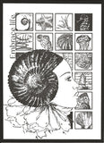 25013 - Inchies i.c.m. crackle - Stempelset A5 - NIEUW