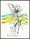 24003 - Scribbled Flowers -  Stempelset A6 formaat