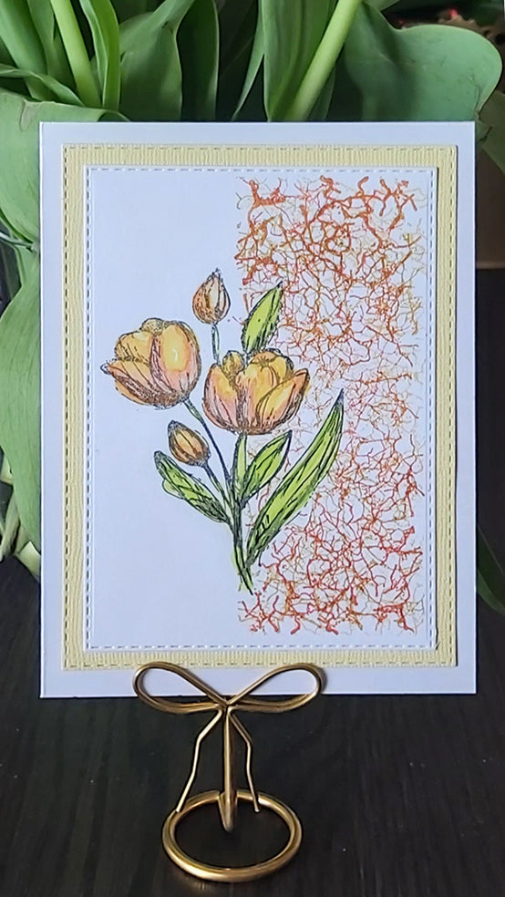NIEUW • Tulpen