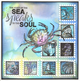 25013 - Inchies i.c.m. crackle - Stempelset A5 - NIEUW