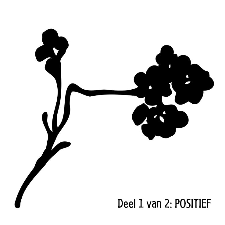 NIEUW • Bloesemtak