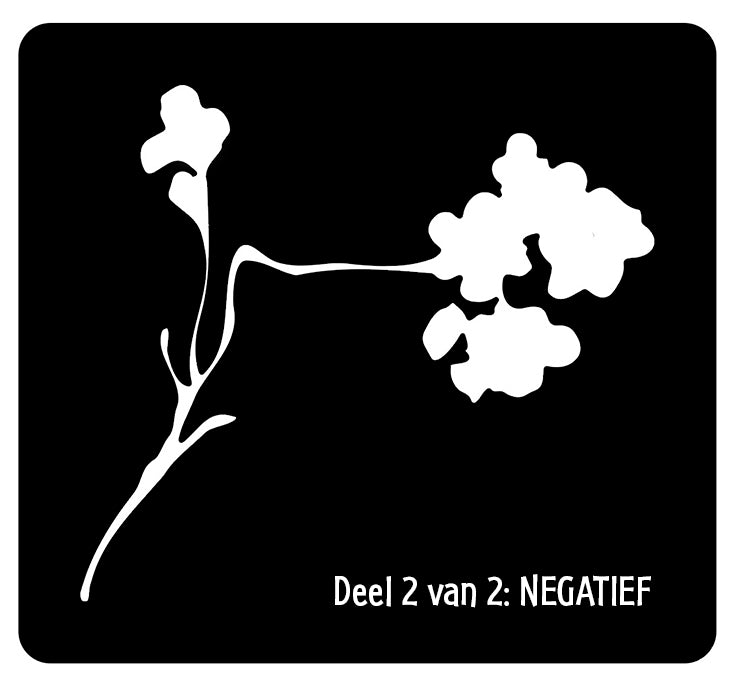 NIEUW • Bloesemtak