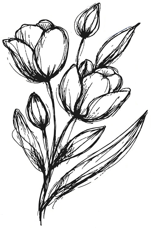 NIEUW • Tulpen