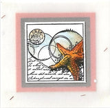 Seizoenen: de zomer - 21133-kl