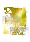 23003 - Nature & Leaves - Stempelset slimline formaat