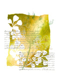 23003 - Nature & Leaves - Stempelset slimline formaat