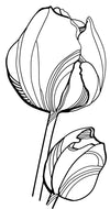 Tulp, gestileerd - 10001