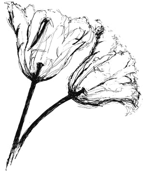 Grote Tulpen, schets - 180027