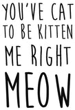 You've cat to be kitten me right meow - 180085