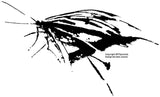 Vlinder 3 - 190020 - aanbieding
