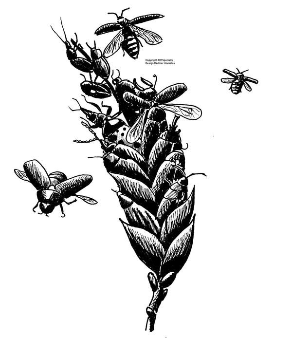 Ladybug and Bees