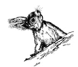 Eekhoorn leunend op boomstam - 21006