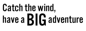 Catch the wind, have a BIG adventure - 21159