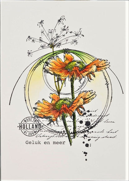 Stempel Sprietgras